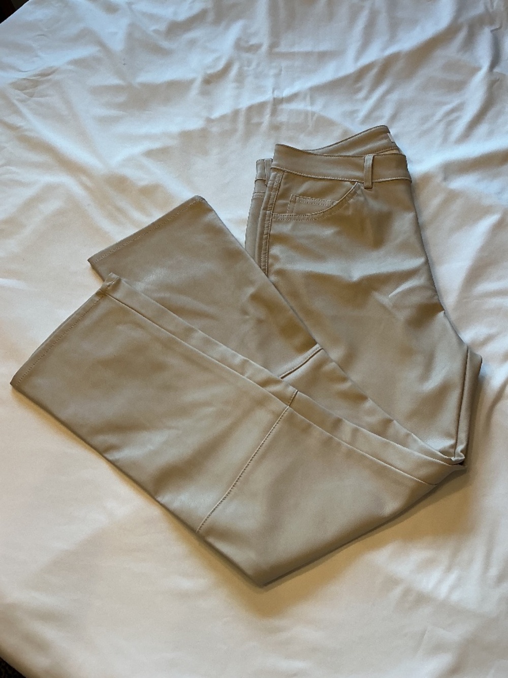 H&M FAUX LEATHER PANTS (size: 12)